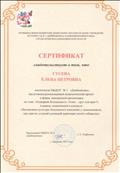 Сертификат свидетельствует о том, что Гусева Елена Петровна представила опыт работы в форме открытого развлечения по социальному развитию детей дошкольного возраста по теме: "Детская дискотека - одна из форм организации досуга детей" в рамках педагогического совета № 3 по теме: "Социально-личностное развитие детей дошкольного возраста, как одно из условий успешной адаптации к обществу".