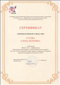 Сертификат свидетельсвует о том, что Гусева Елена Петровна представила опыт работы с детьми  дошкольного возраста по теме: "Речевое развитие детей дошкольного взраста посредством приёмов технологии ТРИЗ"