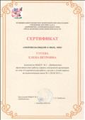 Сертификат свидетельствует о том, что Гусева елена Петровна принимала участие в апробации технологии эффективной социализации Н.П. Гришаевой "Дети - влонтёры"